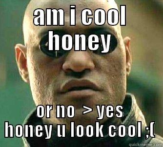 AM I COOL HONEY OR NO  > YES HONEY U LOOK COOL ;( Matrix Morpheus