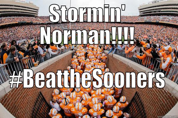 STORMIN' NORMAN!!!! #BEATTHESOONERS Misc