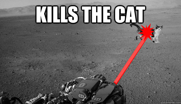 Kills The cat - Kills The cat  Scumbag Curiosity