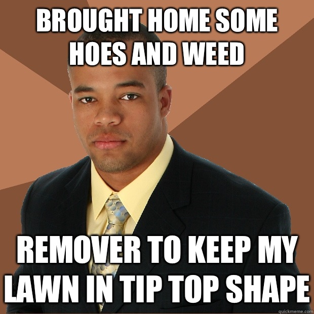 BROUGHT HOME SOME HOES AND WEED REMOVER TO KEEP MY LAWN IN TIP TOP SHAPE  Successful Black Man