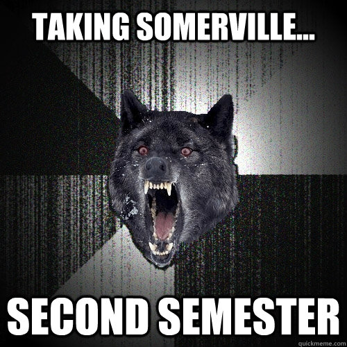 Taking somerville... second semester  Insanity Wolf