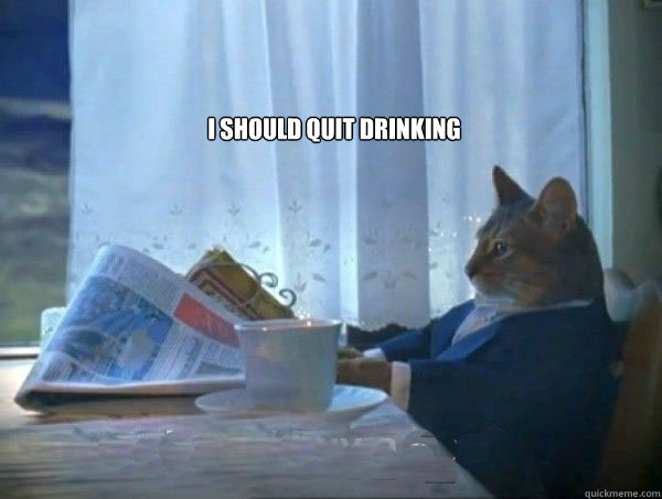 I should quit drinking   morning realization newspaper cat meme