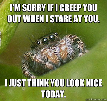 I'm sorry if I creep you out when I stare at you. I just think you look nice today.  Misunderstood Spider