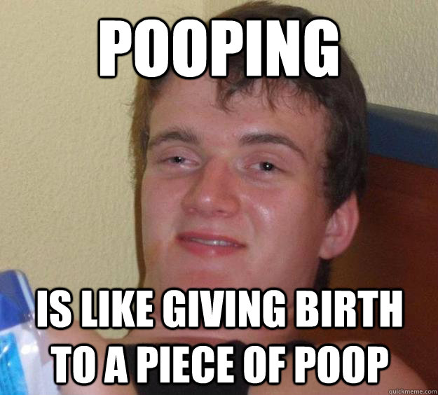 Pooping is like giving birth to a piece of poop  10 Guy