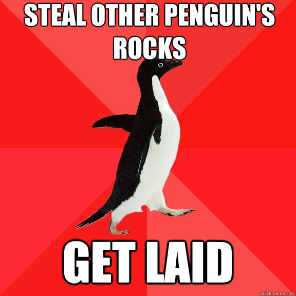 Steal other penguin's rocks Get laid  Socially Awesome Penguin