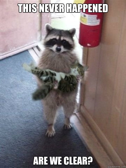 THIS NEVER HAPPENED ARE WE CLEAR? - THIS NEVER HAPPENED ARE WE CLEAR?  Raccoon cat hostage