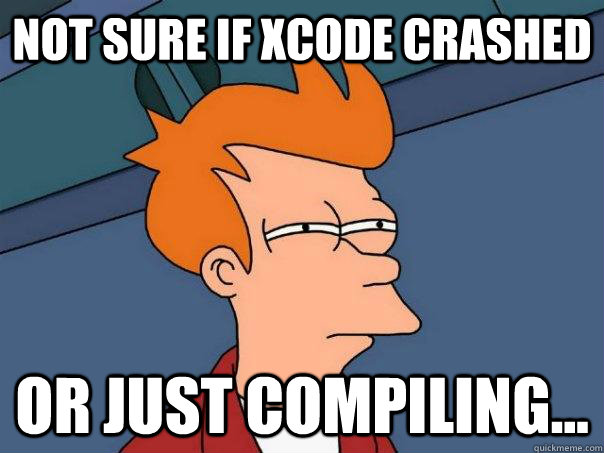 Not sure if Xcode crashed Or just compiling...  Futurama Fry