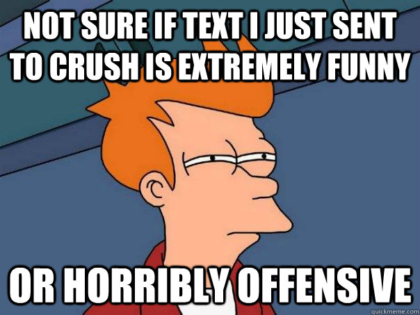 Not sure if text i just sent to crush is extremely funny or horribly offensive  Futurama Fry