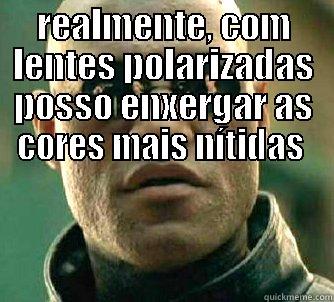 REALMENTE, COM LENTES POLARIZADAS POSSO ENXERGAR AS CORES MAIS NÍTIDAS   Matrix Morpheus