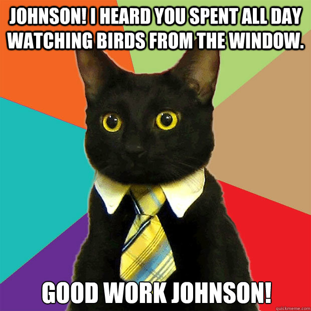 Johnson! I heard you spent all day watching birds from the window. GOOD WORK JOHNSON!   Business Cat