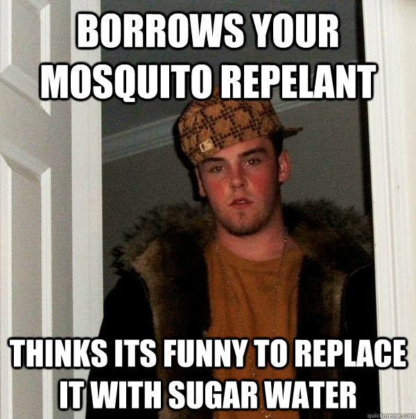 borrows your mosquito repelant thinks its funny to replace it with sugar water  Scumbag Steve