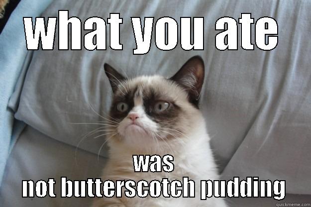 WHAT YOU ATE WAS NOT BUTTERSCOTCH PUDDING Grumpy Cat