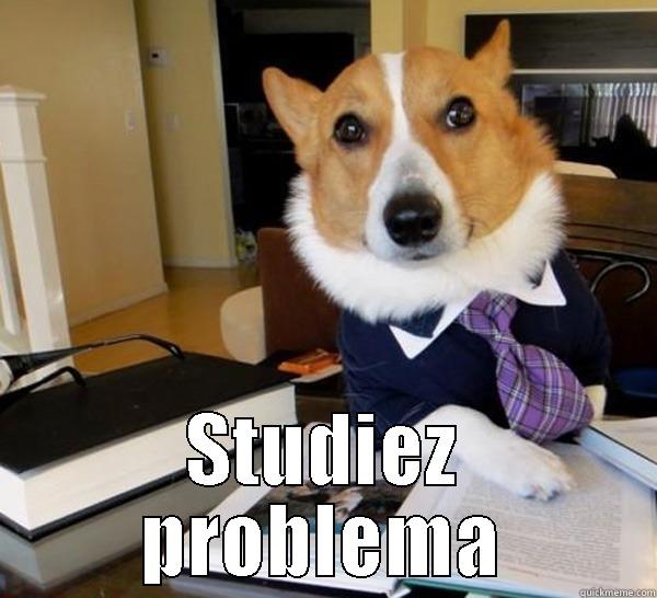  STUDIEZ PROBLEMA Lawyer Dog