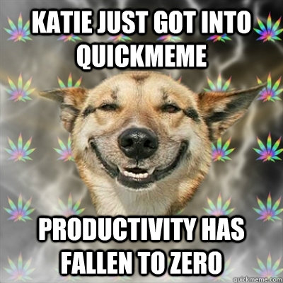 Katie just got into quickmeme productivity has fallen to zero  Stoner Dog