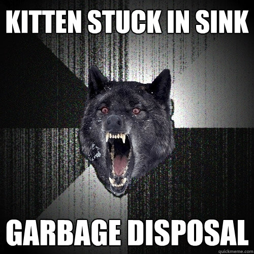 Kitten stuck in sink garbage disposal  Insanity Wolf