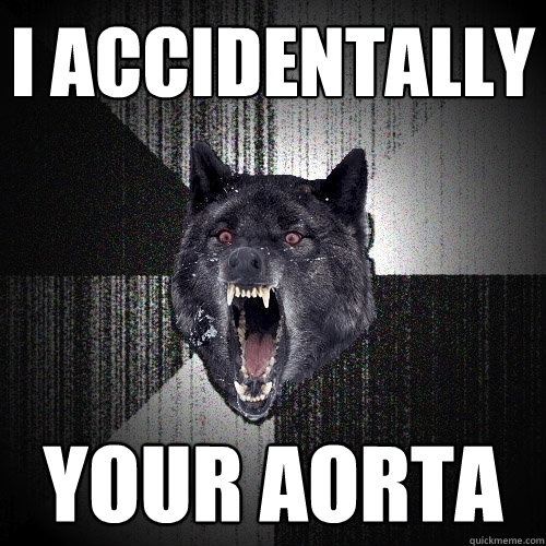 I accidentally your aorta  Insanity Wolf