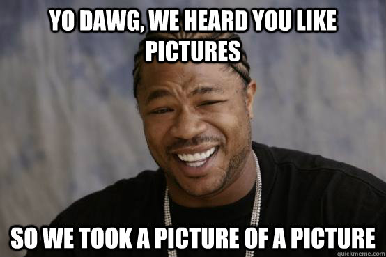 YO DAWG, WE HEARD YOU LIKE PICTURES SO WE TOOK A PICTURE OF A PICTURE  YO DAWG