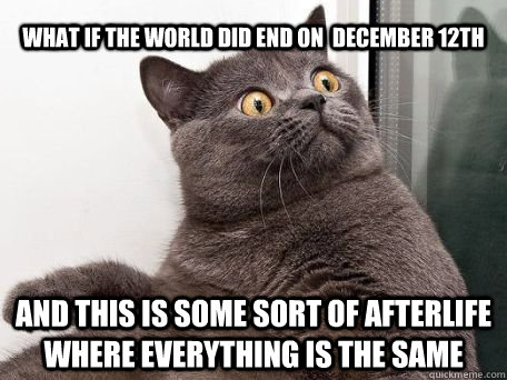 what if the world did end on  December 12th and this is some sort of afterlife where everything is the same  conspiracy cat