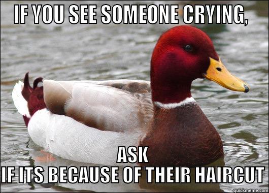 bad hair day - IF YOU SEE SOMEONE CRYING,  ASK IF ITS BECAUSE OF THEIR HAIRCUT Malicious Advice Mallard