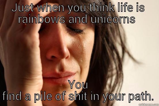 JUST WHEN YOU THINK LIFE IS RAINBOWS AND UNICORNS  YOU FIND A PILE OF SHIT IN YOUR PATH. First World Problems