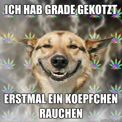 ich hab grade gekotzt erstmal ein koepfchen rauchen   Stoner Dog