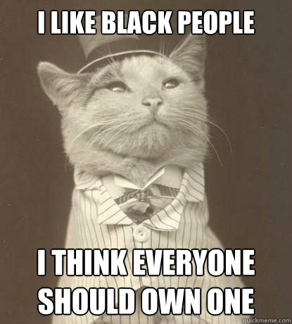 I like Black People I Think Everyone Should Own One  Aristocat