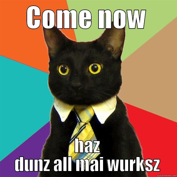 COME NOW HAZ DUNZ ALL MAI WURKSZ Business Cat