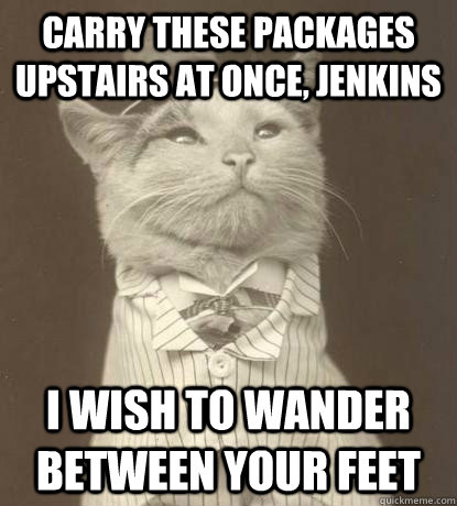 Carry these packages upstairs at once, Jenkins I wish to wander between your feet  Aristocat