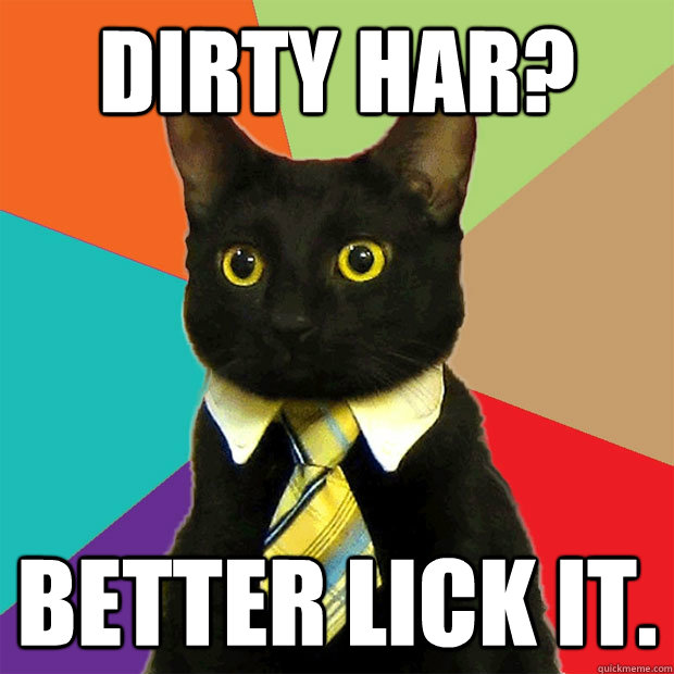 Dirty HAR? Better lick it.  Business Cat