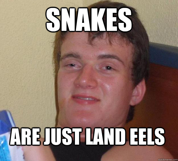 Snakes Are just land eels - Snakes Are just land eels  10 Guy