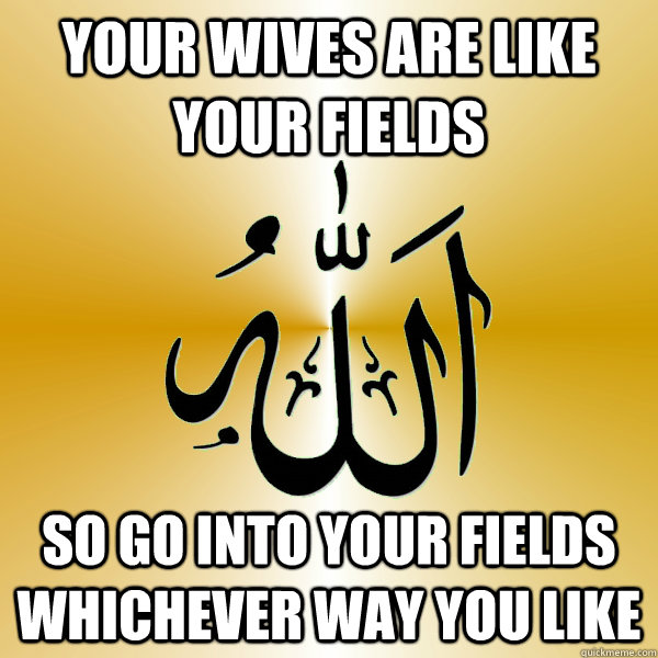 your wives are like your fields so go into your fields whichever way you like  