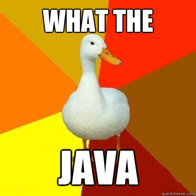 WHAT THE JAVA  Tech Impaired Duck