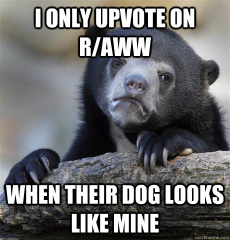 i only upvote on r/aww when their dog looks like mine  Confession Bear