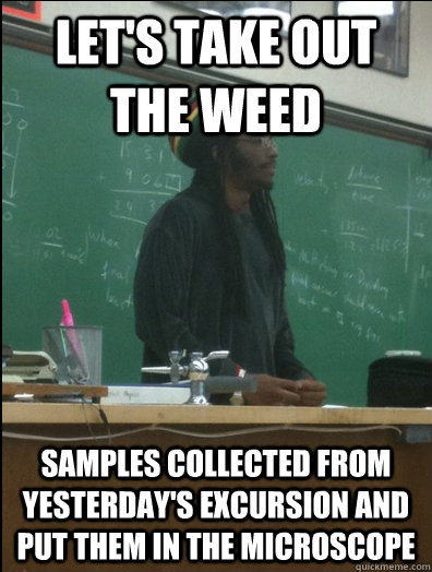 let's take out the weed samples collected from yesterday's excursion and put them in the microscope  Rasta Science Teacher