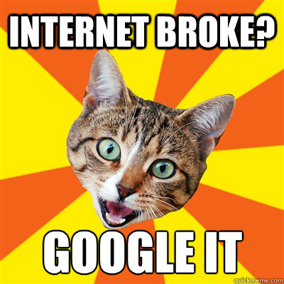 Internet Broke? Google it  Bad Advice Cat