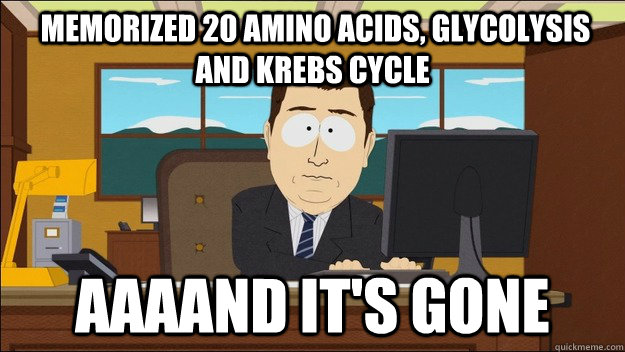  Memorized 20 amino acids, glycolysis and krebs cycle Aaaand it's gone -  Memorized 20 amino acids, glycolysis and krebs cycle Aaaand it's gone  aaaand its gone