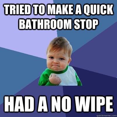 Tried to make a quick bathroom stop had a no wipe  Success Kid