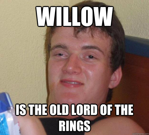 WILLOW is the old LORD OF THE RINGS  10 Guy