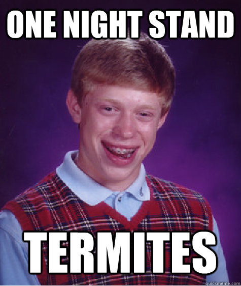 one night stand termites - one night stand termites  Bad Luck Brian