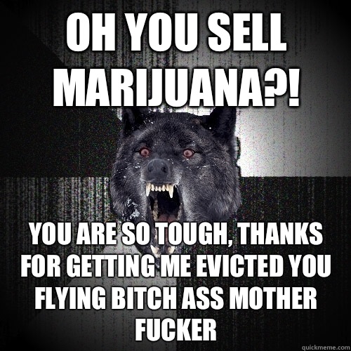 Oh you sell marijuana?! You are so tough, thanks for getting me evicted you flying bitch ass mother fucker  Insanity Wolf