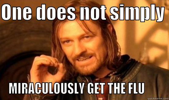 ONE DOES NOT SIMPLY  MIRACULOUSLY GET THE FLU       Boromir