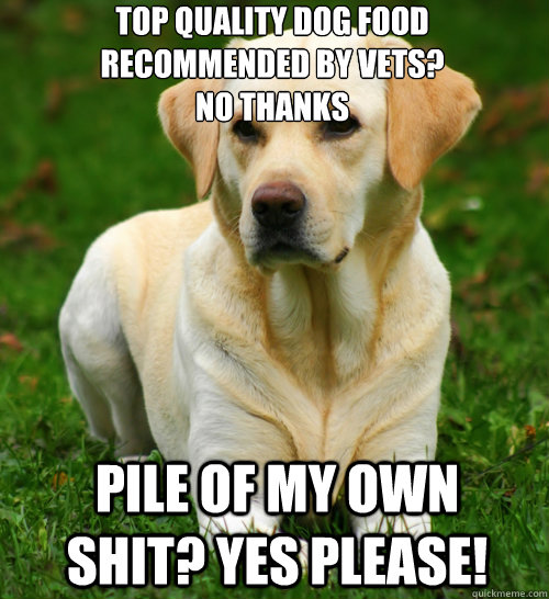 top quality dog food recommended by vets? No thanks Pile of my own shit? Yes please!  Dog Logic