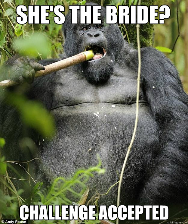 She's The Bride? Challenge Accepted  Drunk Confidence Gorilla