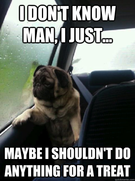 I don't know man, I just... maybe I shouldn't do anything for a treat   Introspective Pug