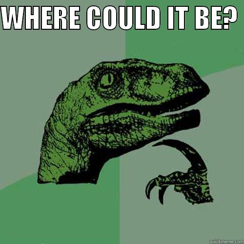 WHERE COULD IT BE?   Philosoraptor
