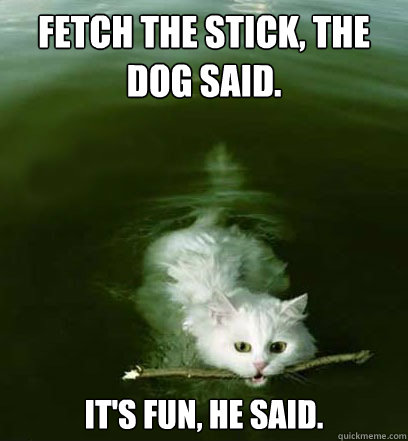 Fetch the stick, the dog said. It's fun, he said.  Gullible Cat