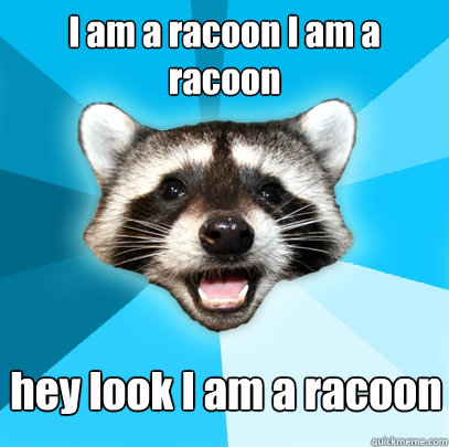 I am a racoon I am a racoon hey look I am a racoon  Lame Pun Coon