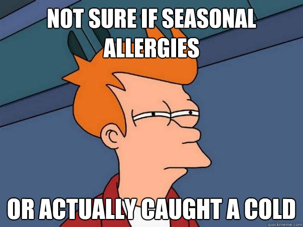 Not sure if seasonal allergies Or actually caught a cold  Futurama Fry