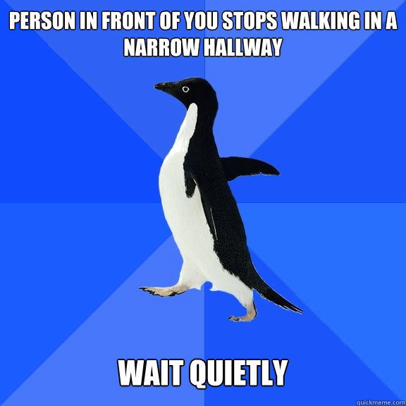 Person in front of you stops walking in a narrow hallway wait quietly - Person in front of you stops walking in a narrow hallway wait quietly  Socially Awkward Penguin