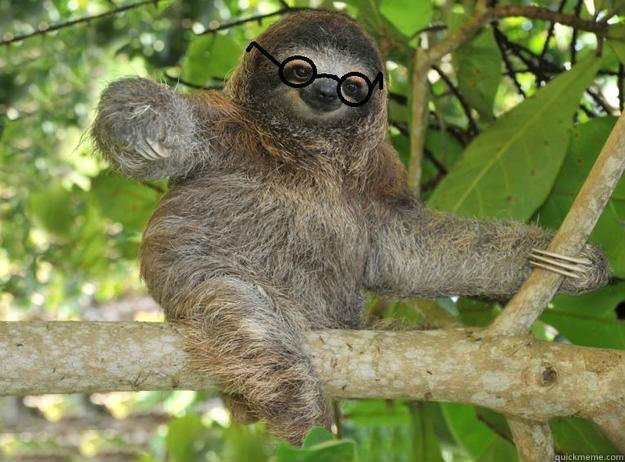 Sexy Sloth Quickmeme
